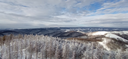 IMG 20240121 133512.jpg