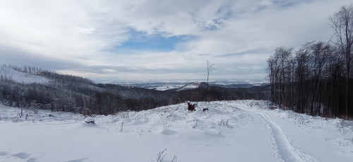 IMG 20240121 121636.jpg