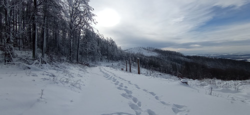 IMG 20240121 121628.jpg