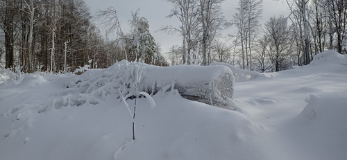 IMG 20240121 122601.jpg