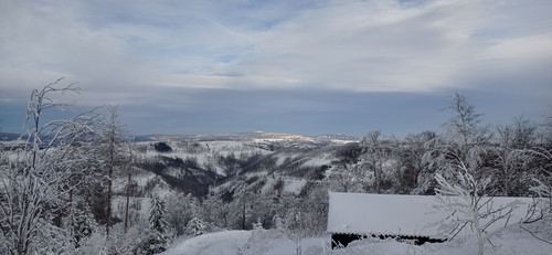 IMG 20240121 123941.jpg