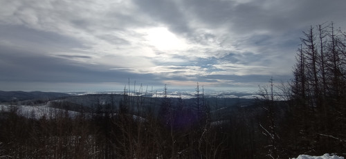 IMG 20240121 123613.jpg