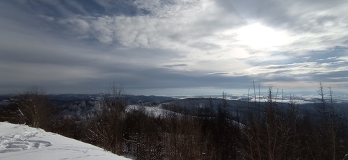 IMG 20240121 123621.jpg