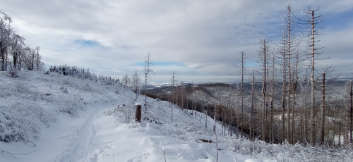 IMG 20240121 122534.jpg