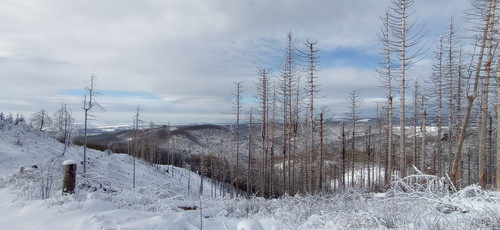 IMG 20240121 122509.jpg