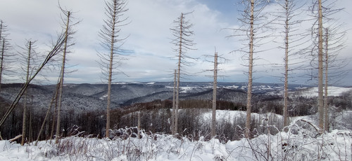 IMG 20240121 122038.jpg