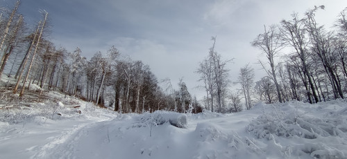 IMG 20240121 122545.jpg