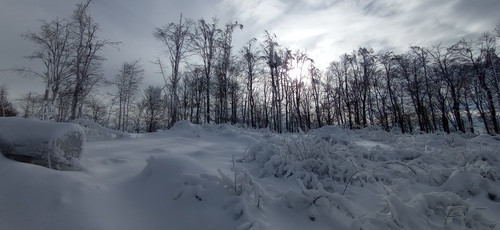 IMG 20240121 122608.jpg