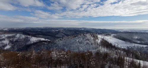 IMG 20240121 133525.jpg