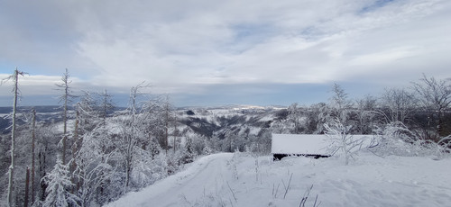 IMG 20240121 123948.jpg