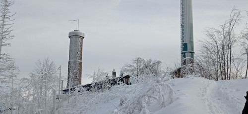 IMG 20240121 123300.jpg