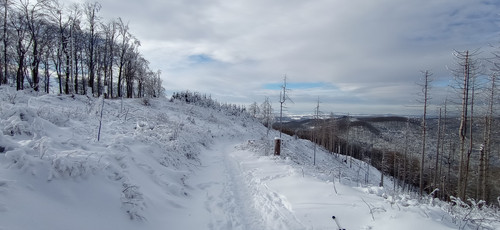 IMG 20240121 122615.jpg