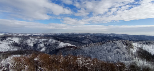 IMG 20240121 133528.jpg