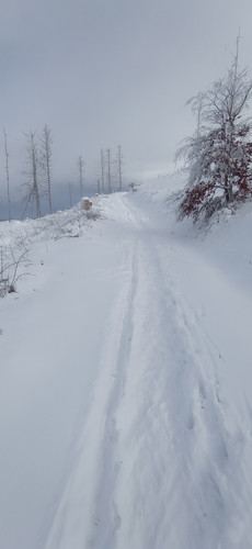 IMG 20240121 121855.jpg