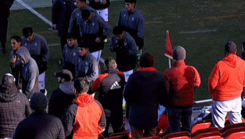 GIF 1 22 2024 9 16 56 AM.gif