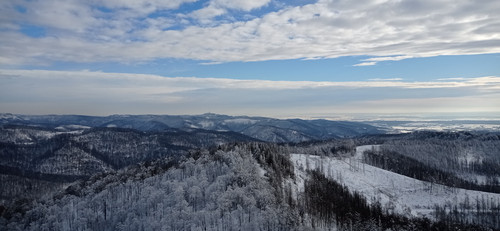 IMG 20240121 133816.jpg