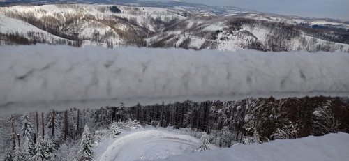 IMG 20240121 133848.jpg