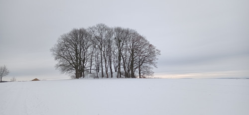 IMG 20240121 154358.jpg