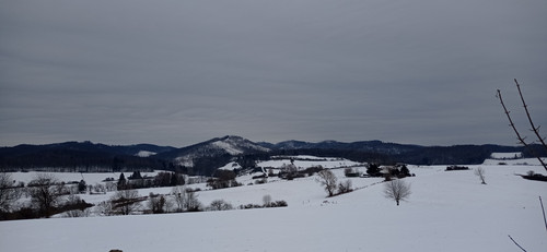 IMG 20240121 153323.jpg