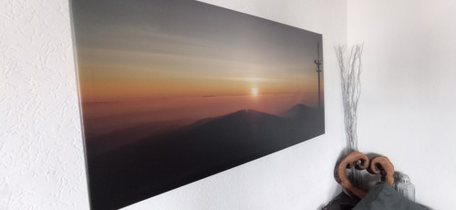 IMG 20240121 134121.jpg