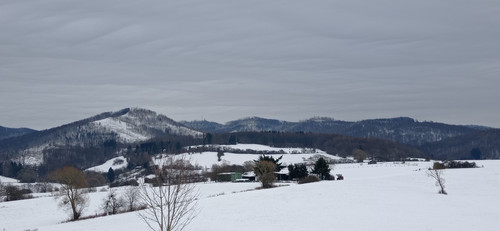 IMG 20240121 153152.jpg