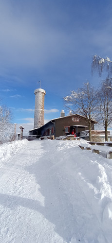 IMG 20240121 134859.jpg