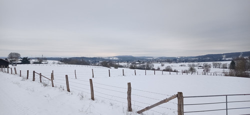 IMG 20240121 152140.jpg