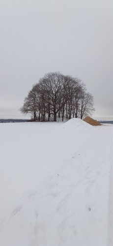 IMG 20240121 153241.jpg