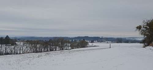 IMG 20240121 151025.jpg