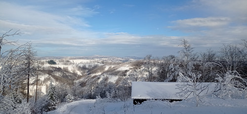 IMG 20240121 134542.jpg