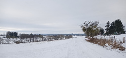 IMG 20240121 150944.jpg