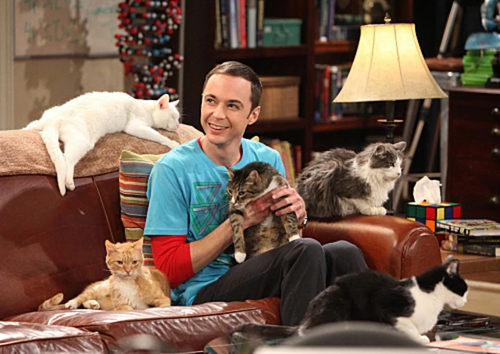 sheldon cats.png