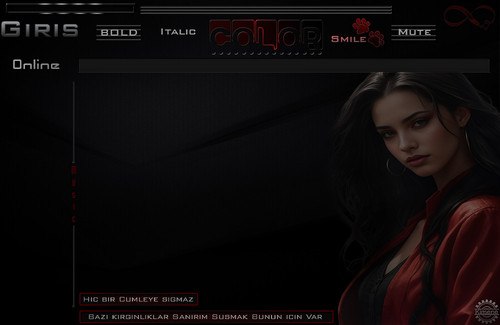 Hic bir cümleye signaz bazi kizginliklar.jpg