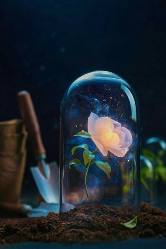 images%2Fimage 1705882131114.jpg