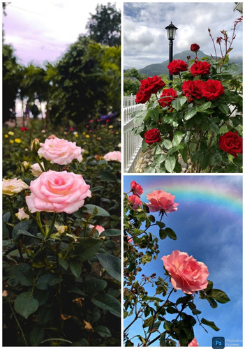 PSX 20240119 130415.jpg