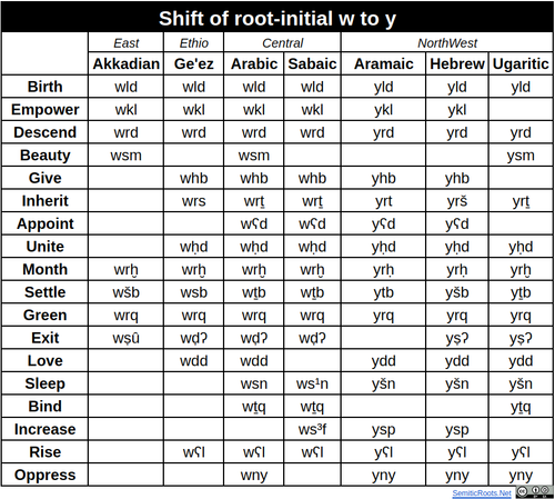 Shift of root initial w to y.png