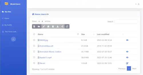 webclient 1024x539.webp