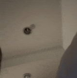 3cd815cad5c4.gif