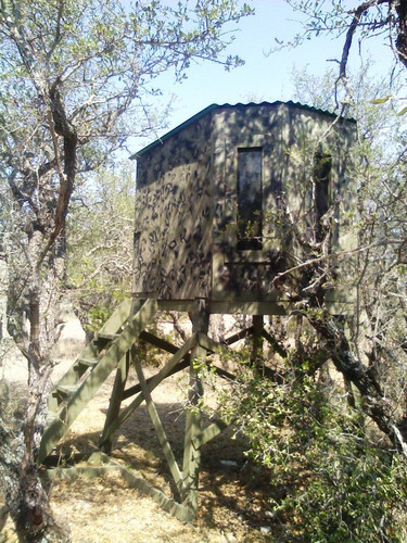 Deer Shooting House Windows & Doors.jpg