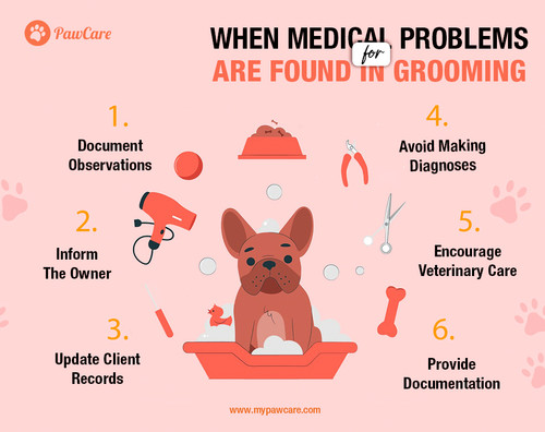 When Medical Problems Are Found in Grooming.jpg