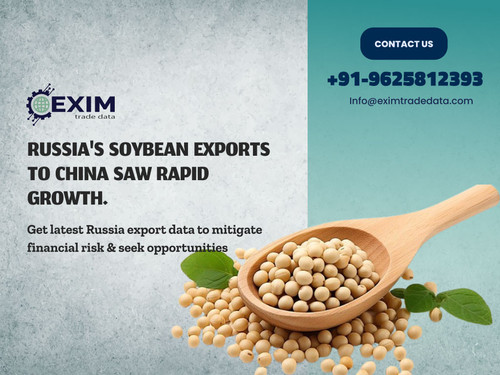 russian soybean.jpg