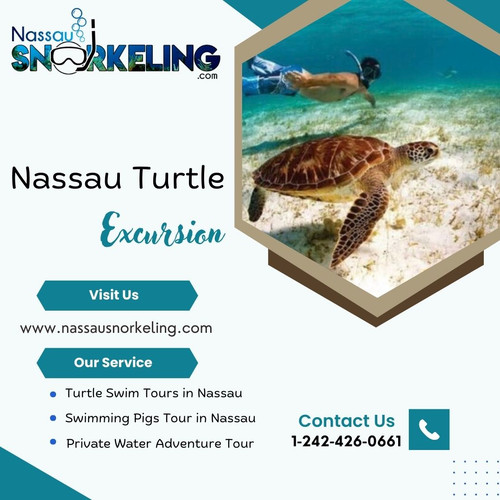 Nassau Turtle Excursion.jpg