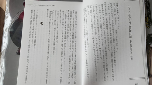 010.jpg