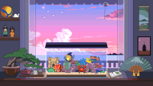 room2 new 1218202115570061be04cccde2d.gif
