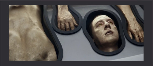 B 4 Body Parts.jpg