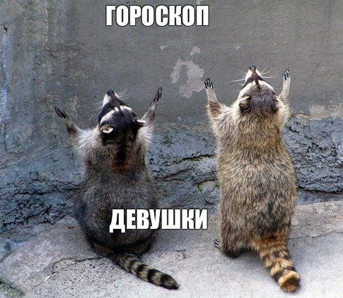 bmqTmlsmCRpNtSxMNG1bp 2CWWi9z7CAUld7 4mUwBTCAVBwfrViaZhxGfyUZlvsQWxB35SDAy pKzEJMcIgu92I0l OLOctfAR9.jpg