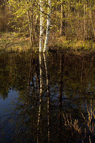 IMG 2286.jpg