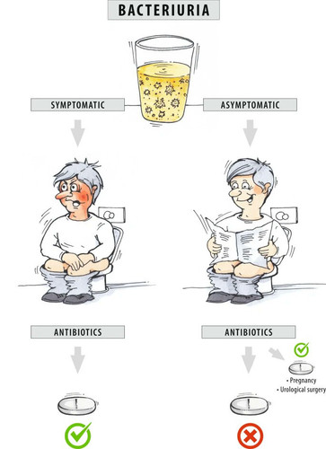 GOX59e6XoAEpRCe?format=jpg.jpg