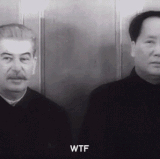 STALIN MAO WTF.gif