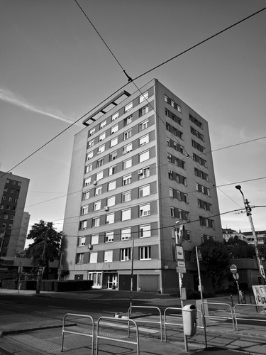 IMG 20240602 082511.jpg